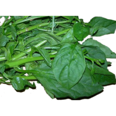 Spinach (Palak) - Pasalai Keerai